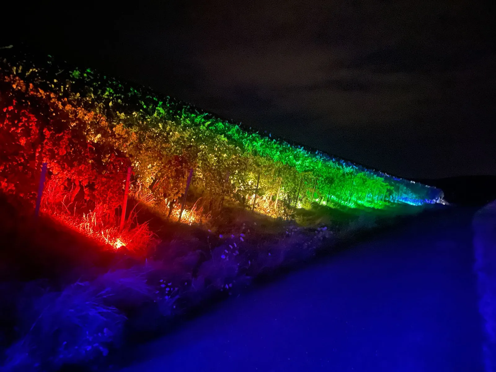 Lichttechnik mieten Bad Rappenau Header 2